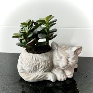 Bloempotje poesje