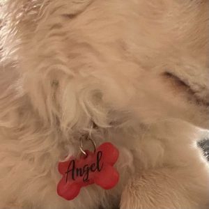 Honden naam tag
