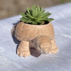 Bloempot schildpad
