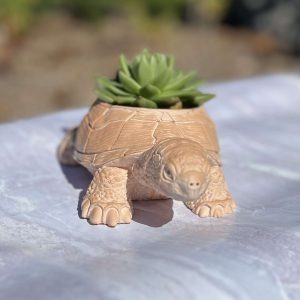 Bloempot schildpad