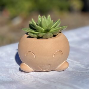 Bloempot smile