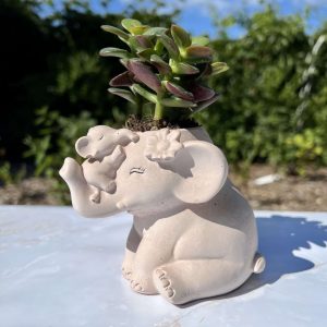 Bloempot Olifant